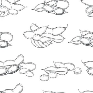 Vector seamless pattern with soybean plant. 스톡 일러스트