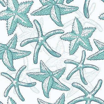 Vector seamless pattern starfish. Sea star monochrome turquoise outline sketch Illustrazione stock