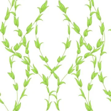 Vector seamless pattern of stems and leaves of green color isolated on a white Stock Illustration