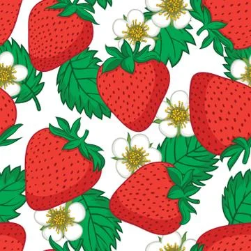 Vector seamless pattern with strawberries. Graphic stylized drawing. Stock Illustration