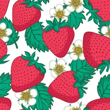 Vector seamless pattern with strawberries. Graphic stylized drawing. Stock Illustration