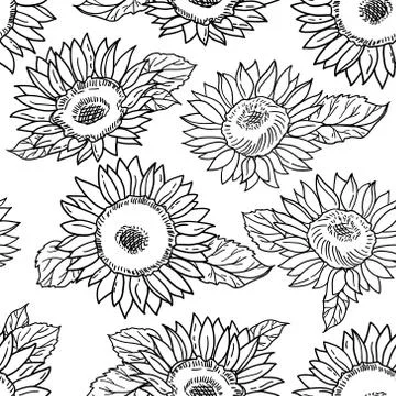 Vector seamless pattern with sunflowers. Black and white illustration Stock Illustration