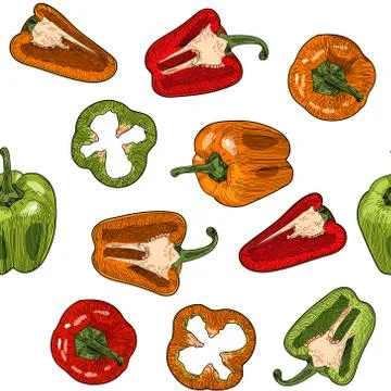 Vector seamless pattern with sweet pepper . Illustrazione stock