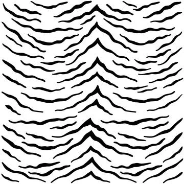Vector seamless pattern with tiger skin. Black and white zebra stripes. Stock Illustration