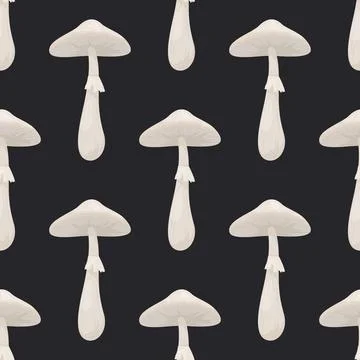 Vector Seamless Pattern with Toadstool Mushroom on Black Background. Seamless 스톡 일러스트