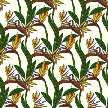 Vector seamless pattern with tropical flowers Stock Illustration