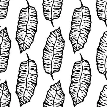 Vector seamless pattern of tropical leaves. Isolated black outline on a white Stock Illustration