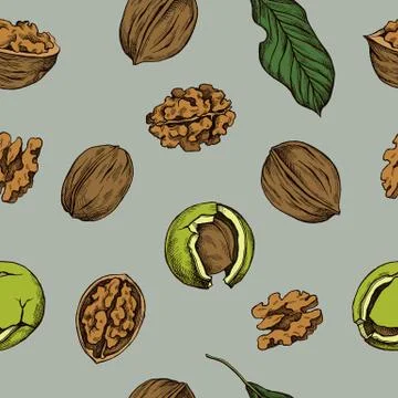 Vector seamless pattern of walnuts. Hand drawn vector illustration Stock Illustration