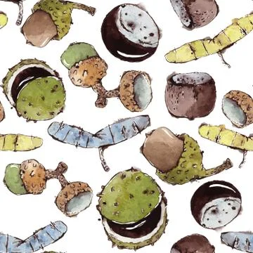 Vector Seamless Pattern with Watercolor Seeds and Nuts Stock Illustration