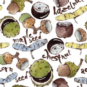 Vector Seamless Pattern with Watercolor Seeds, Nuts and Calligra Illustrazione stock