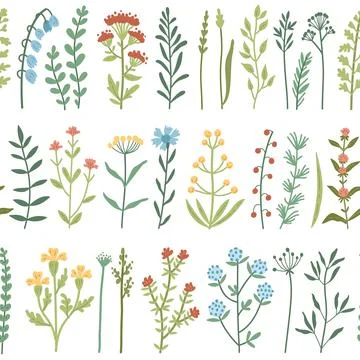 Vector seamless pattern with wild flowers and grass Stock Illustration