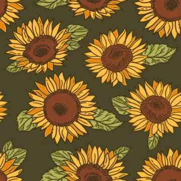 Vector seamless pattern with yellow sunflowers Stock Illustration