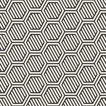 Vector seamless stripes pattern. Modern stylish texture with mon 스톡 일러스트