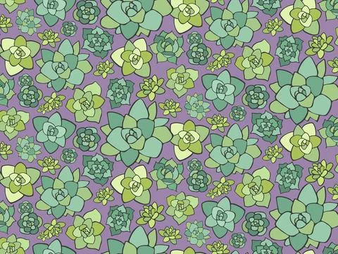Vector seamless succulent pattern, Desert plant fabric, succulents cacti Stock Illustration