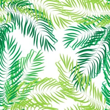 Vector seamless summer palm leaves on white background. Stock Illustration