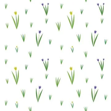 Vector seamless texture with spring fiels and wild flowers Stock-Illustration