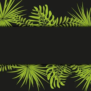 Vector seamless tropical pattern, vivid tropic foliage, with palm leaves. Mod Stock Illustration
