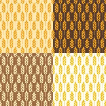 Vector  seamless  wheat background patterns Stock Illustration