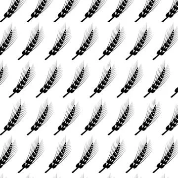 Vector seamless wheat or rye pattern 스톡 일러스트