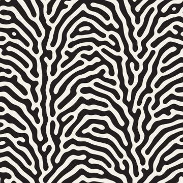 Vector seamless zebra pattern. Monochrome organic shapes texture. Abstract Stock Illustration