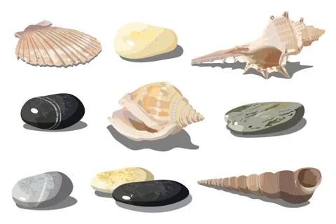 Vector Seashell and sea pebbles Stock Illustration