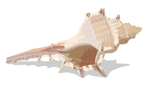 Vector Seashell Stock Illustration