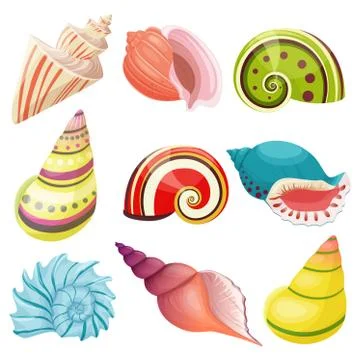 Vector seashells set. Stock Illustration