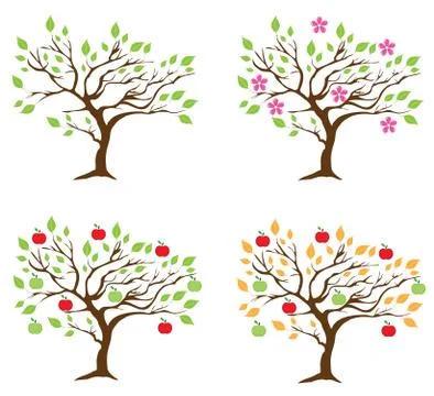 Vector season apple tree Stock Illustration