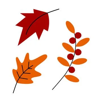 Vector set of 3 design elements of autumn leaves and twigs with berries in Illustrazione stock