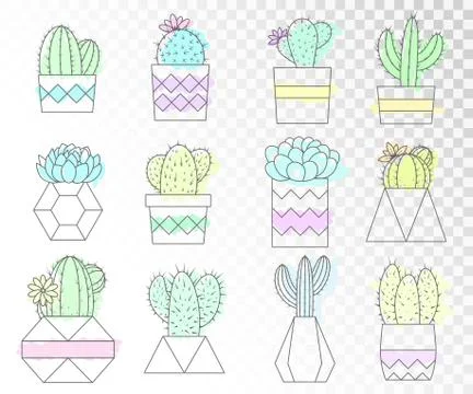 Vector set of acti and succulents in flower pots. Stock Illustration