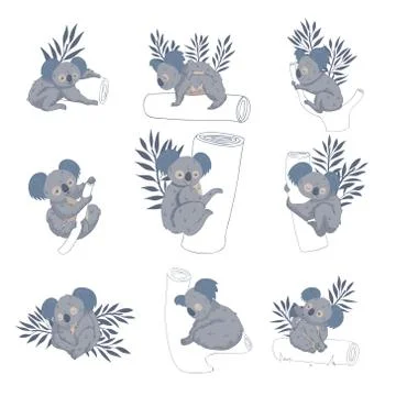 Vector set of adorable koala bears on tree trunks and branches. Australian イラスト素材