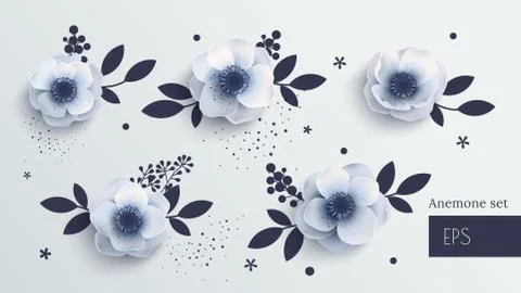 Vector set anemonav. Stock Illustration