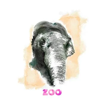 Vector set of animals. Elephant hand painted watercolor illustration isolated Stock Illustration