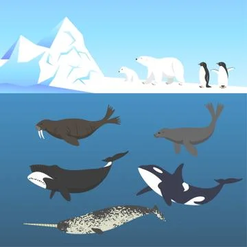 Vector set of animals living in a cold climate. Polar bear, penguin, bowhead  Stock Illustration
