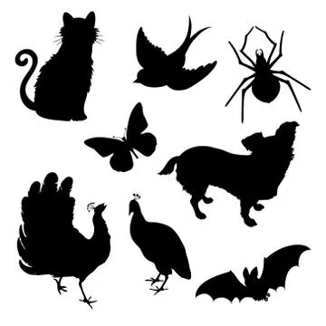 Vector set of animals silhouettes: cat, bird, spider, butterfly, dog, peacock Stock Illustration