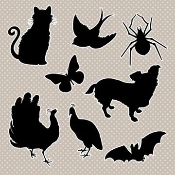 Vector set of animals silhouettes: cat, bird, spider, butterfly, dog, peacock Stock Illustration