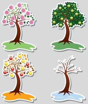 Vector set of apple trees in four seasons Stock Illustration