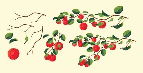 Vector set of apples Stock Illustration