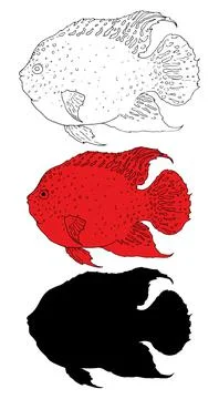 Vector set of aquarium red fish Texas cichlid. hand drawn aquarium fish in Stock Illustration