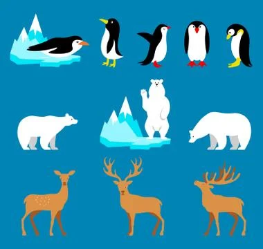 Vector set Arctic and Antarctic animals. Penguin, polar bear, reindeer Stock Illustration