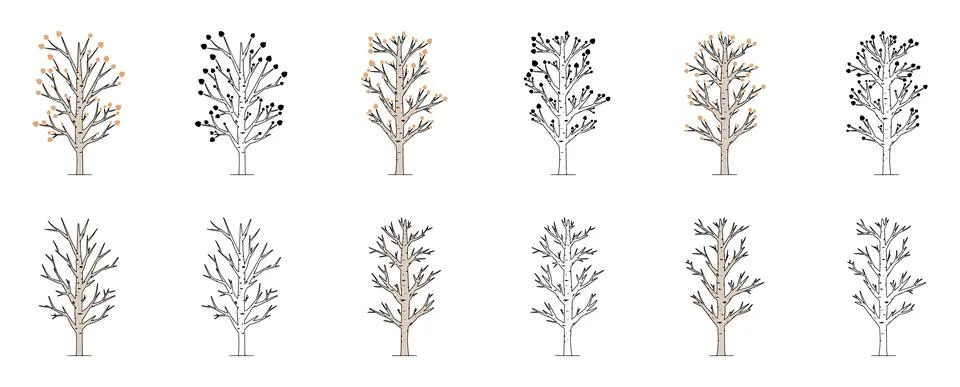 Vector set of aspen tree isolated on white background. Poplar tree hand drawn Stock Illustration