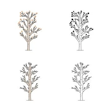  Vector set of aspen tree isolated on white background. Poplar tree doodle... Stock Photos