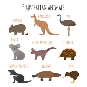 Vector set of Australian animals icons. Stock Illustration