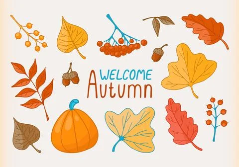 Vector set of Autumn botanical elements. Illustrazione stock