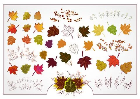 Vector set of autumn leaves, branches and berries. Stock Illustration