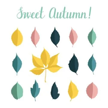Vector set with autumn leaves isolated on white background Stock Illustration
