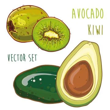 Vector set with avocado and kiwi 库存插图