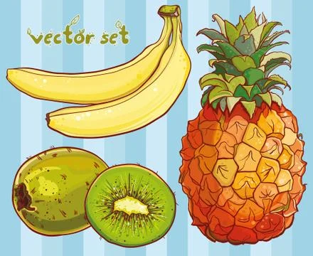 Vector set with banana, kiwi, pineapple 库存插图