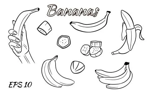 Vector set of bananas. Banana in hand, banana slices, bananas in a bunch. Stock Illustration