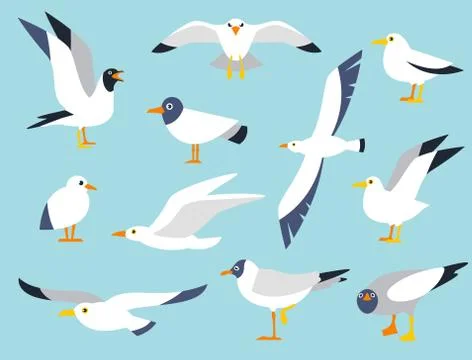 Vector set of beautiful seagulls in a flat style isolated on white background イラスト素材